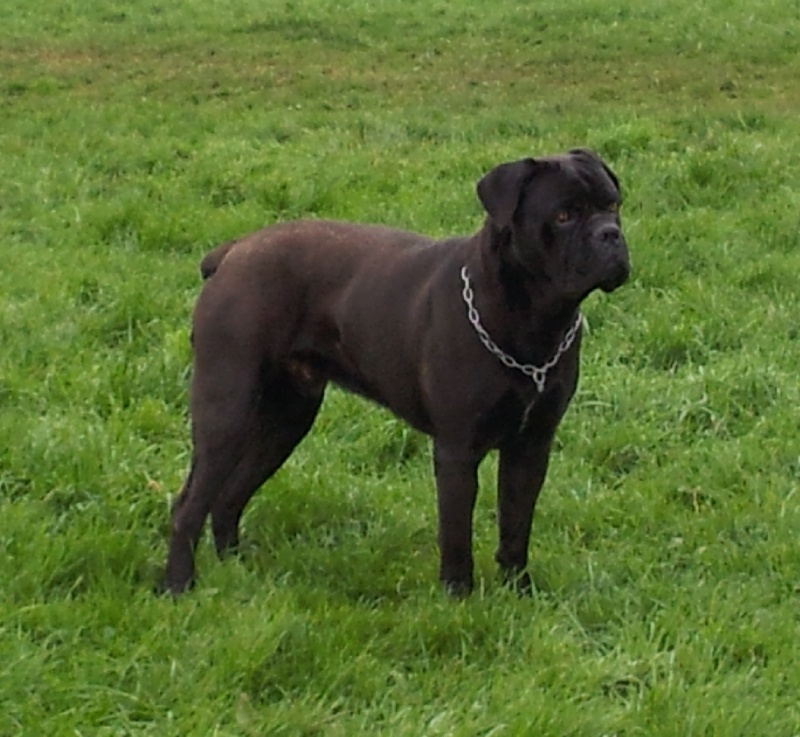 Forte du domaine de l'Empereur Noir